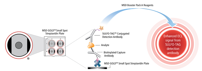 MSD Booster Pack Reagents